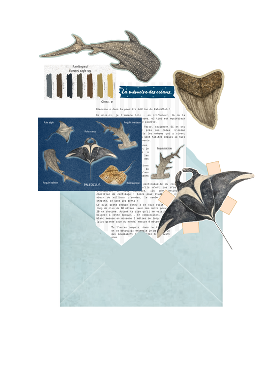 MailClub mensuel