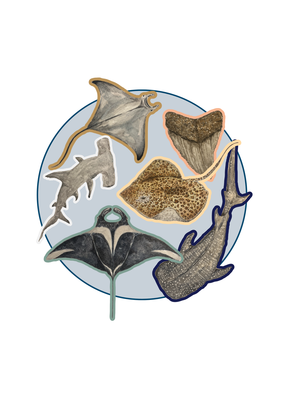 Pochette 6 stickers Raies-Requins